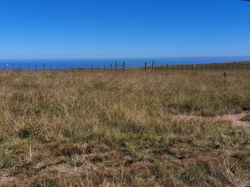 0 Bedroom Property for Sale in George Rural Western Cape